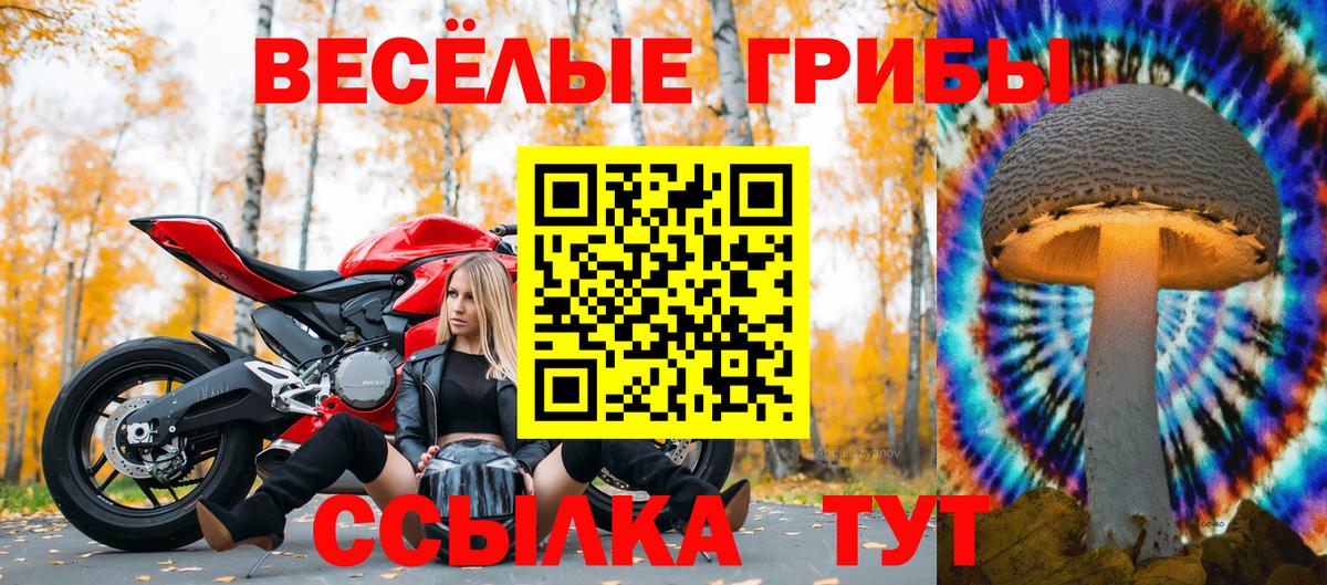 Псилоцибиновые грибы мицелий  Вход с VPN  Саров 